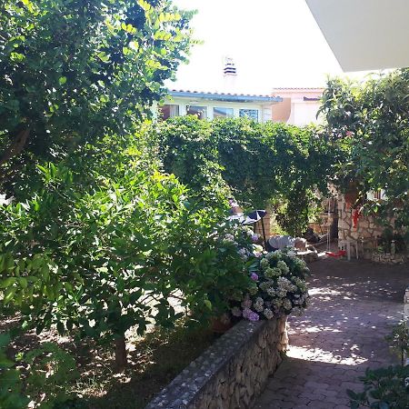 Apartmani Maja Kanica Рогозница Экстерьер фото